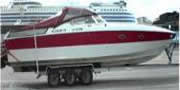 scarab111